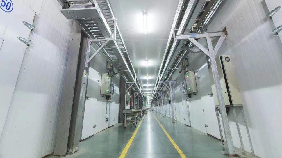 下面給大家講一講在設(shè)計(jì)冷庫(kù)前需要做哪些準(zhǔn)備工作